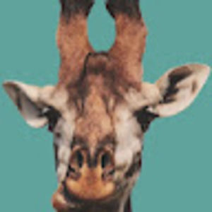 Meet your Posher, Claire